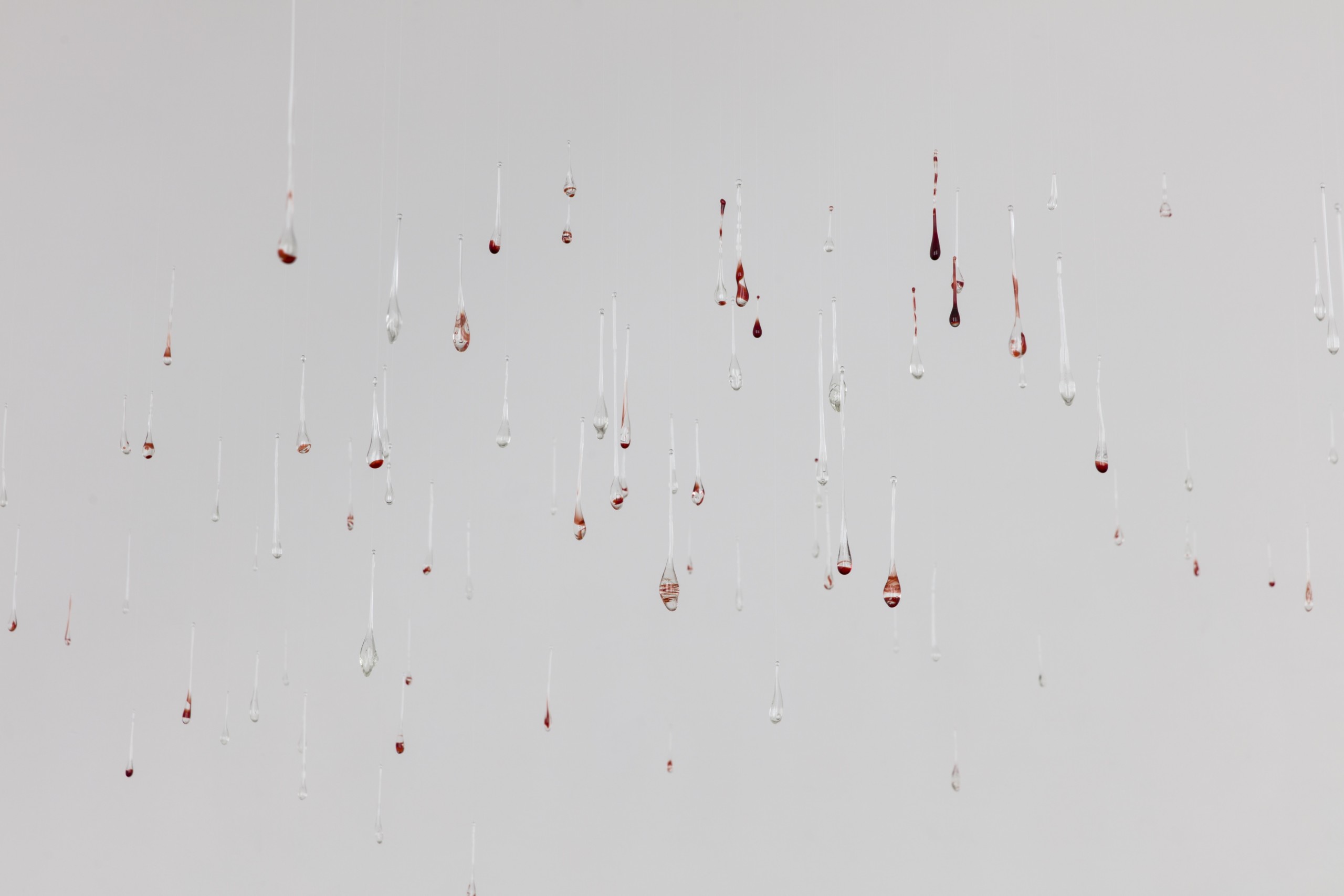 isabella fürnkäs works